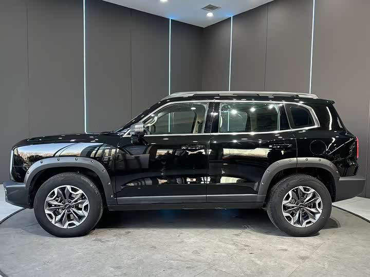 Фото 4 - Haval Dargo