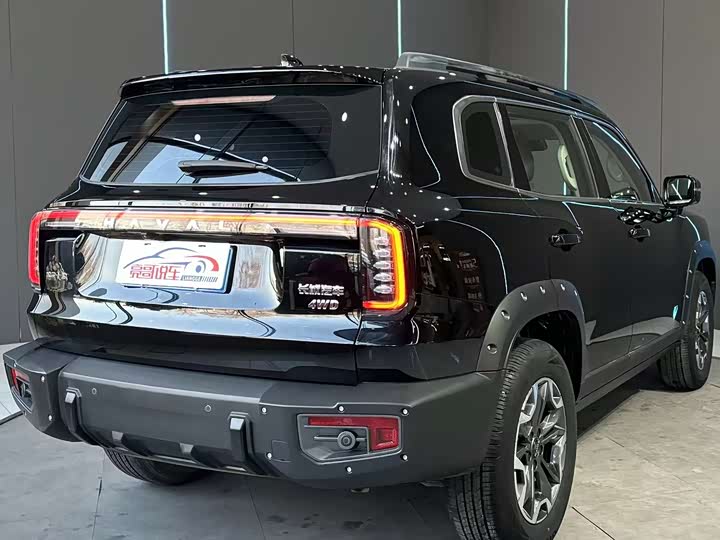Фото 6 - Haval Dargo