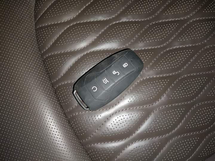 Фото 9 - BYD Han