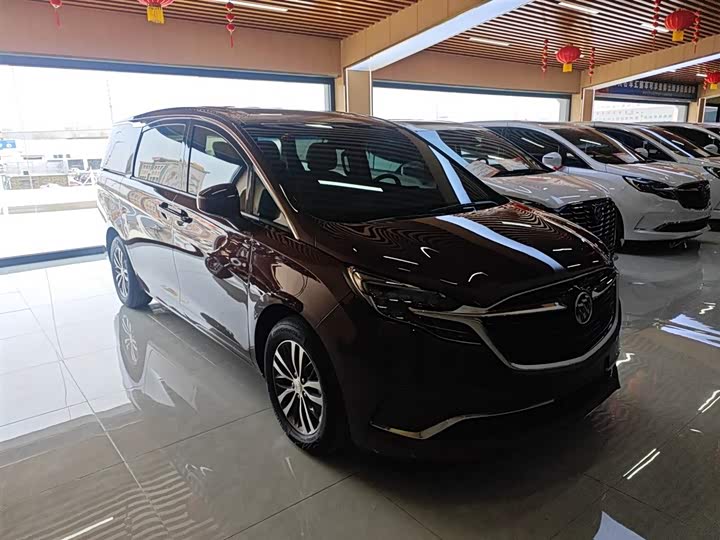 Фото 4 - Buick GL8 ES