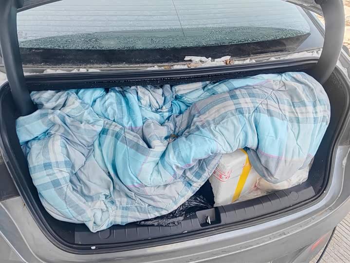 Фото 4 - BYD Qin Plus