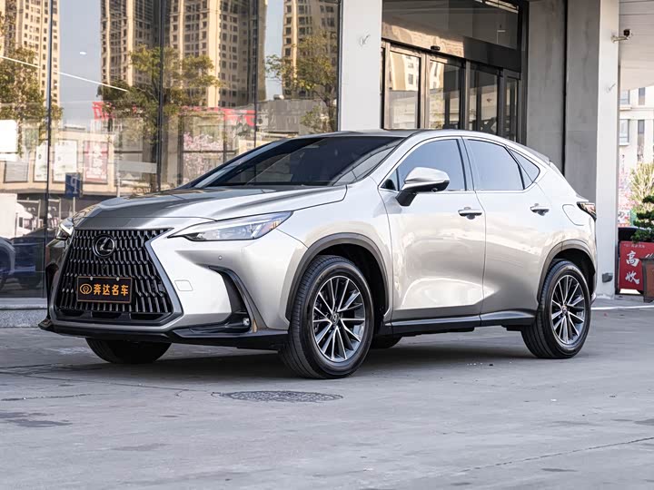 Фото 1 - Lexus NX