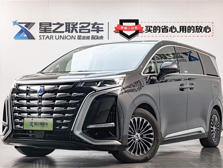 Фото 1 - Denza D9