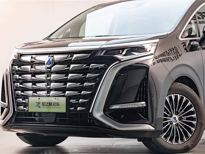 Фото 2 - Denza D9