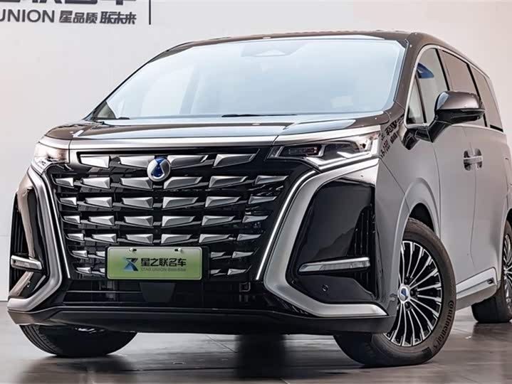 Фото 3 - Denza D9