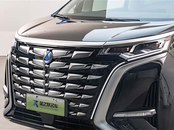 Фото 4 - Denza D9