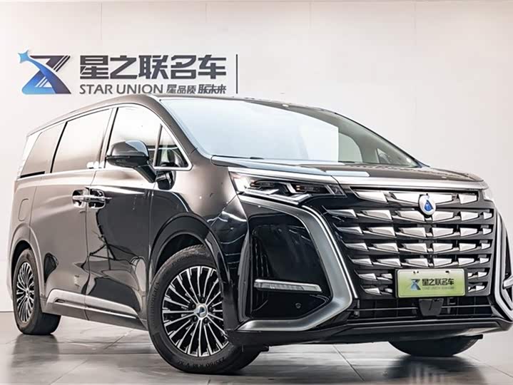 Фото 5 - Denza D9