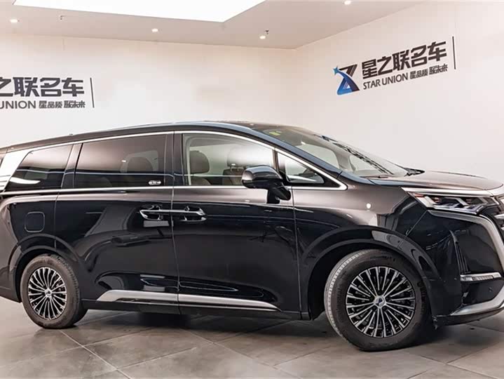 Фото 6 - Denza D9