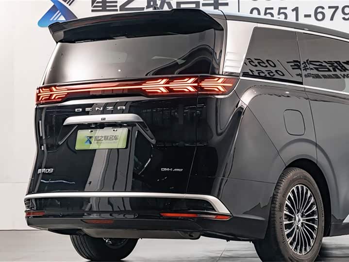 Фото 8 - Denza D9