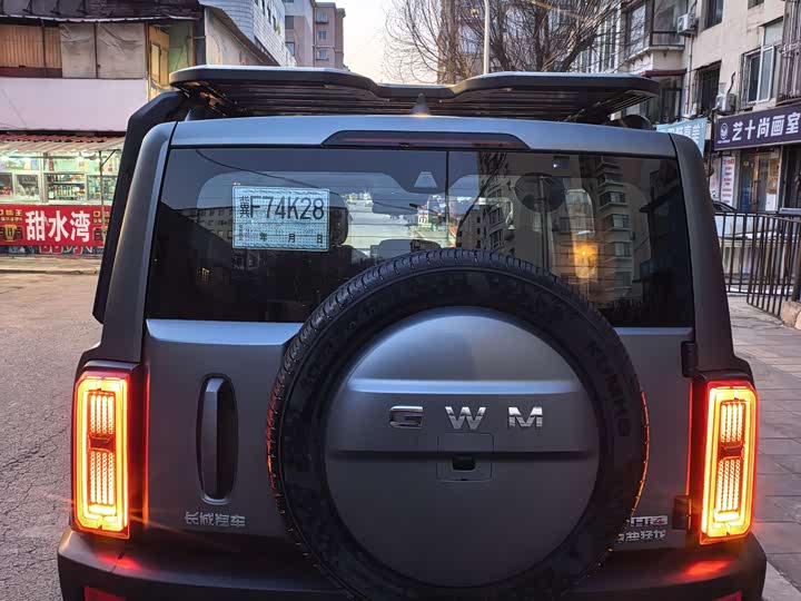 Фото 4 - Haval Raptor Hybrid