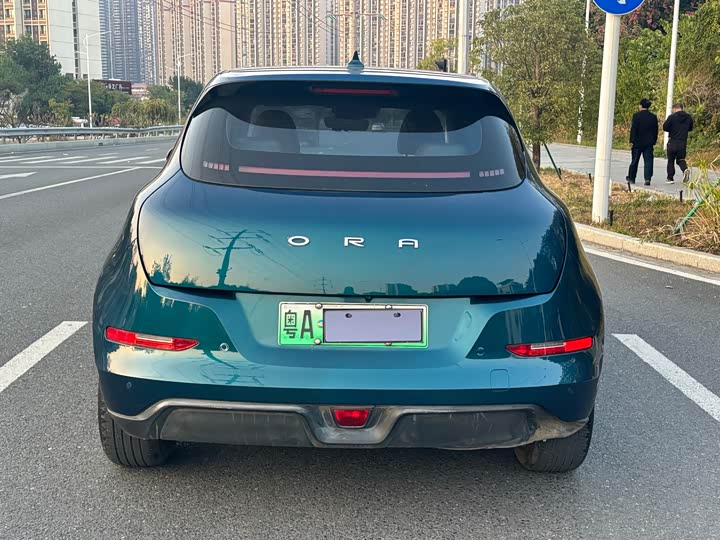 Фото 4 - Ora Good Cat (03)