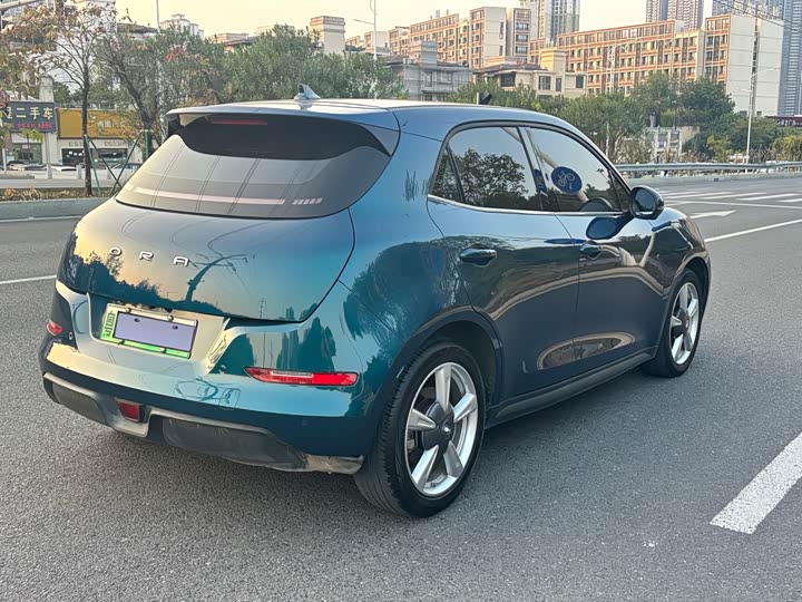 Фото 5 - Ora Good Cat (03)