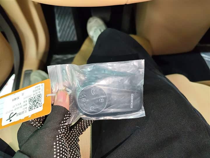 Фото 9 - Exeed Sterra ET