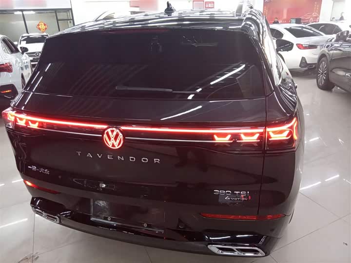 Фото 7 - Volkswagen Tavendor