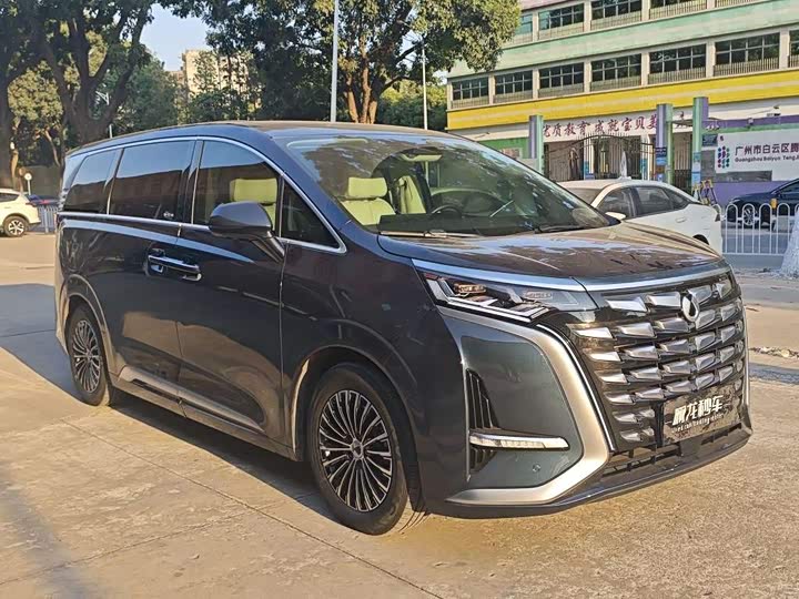 Фото 2 - Denza D9