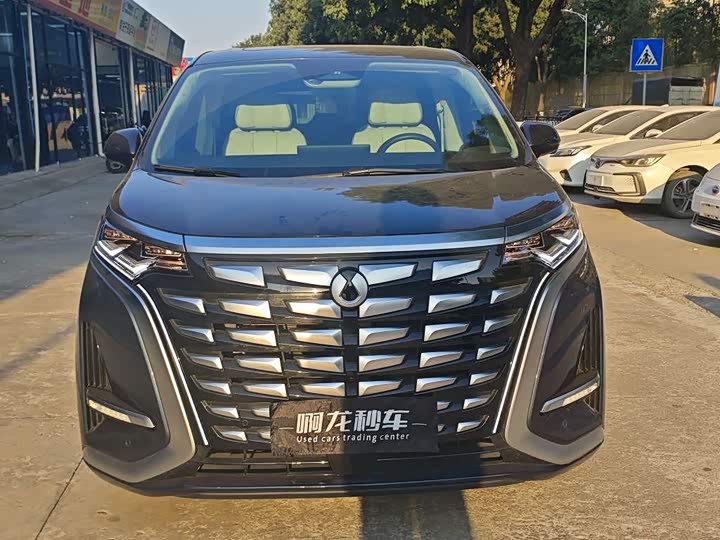 Фото 3 - Denza D9