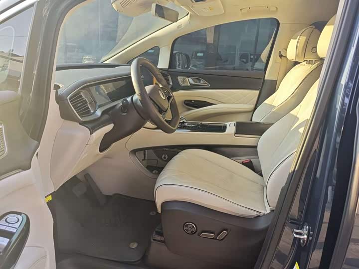 Фото 4 - Denza D9