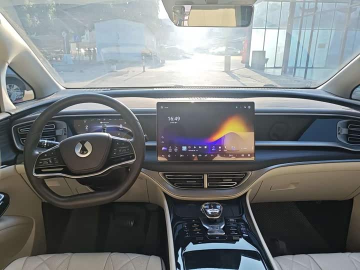 Фото 6 - Denza D9