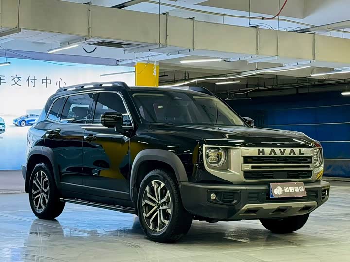 Фото 3 - Haval Dargo
