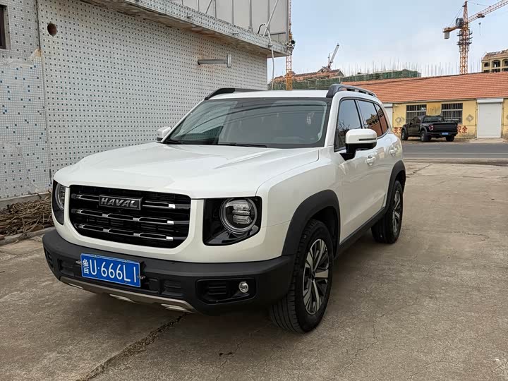 Фото 2 - Haval Dargo