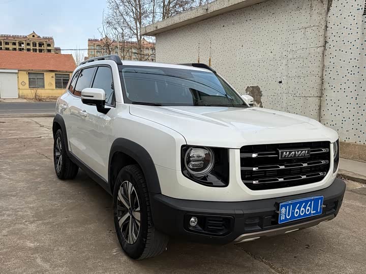 Фото 3 - Haval Dargo