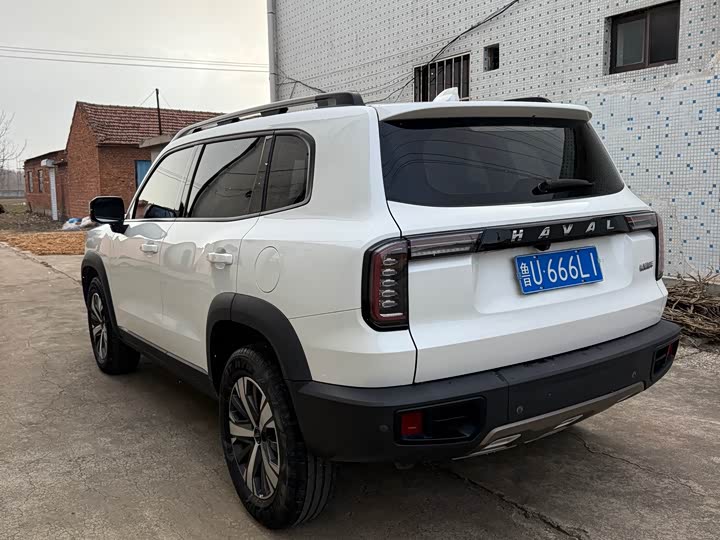 Фото 4 - Haval Dargo