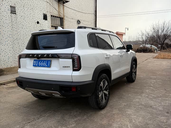 Фото 6 - Haval Dargo