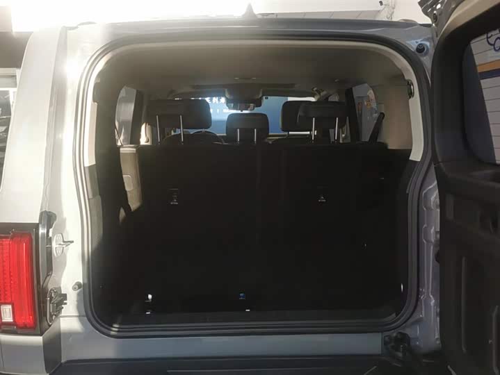 Фото 4 - Tank 300