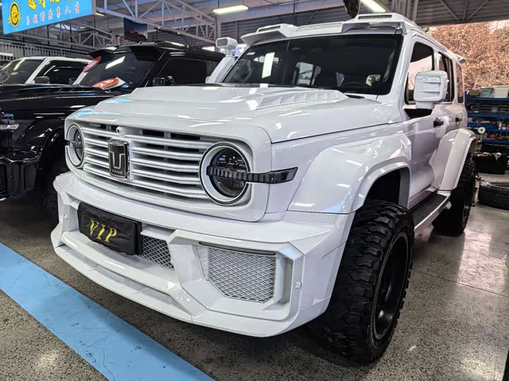 Фото 1 - Tank 300