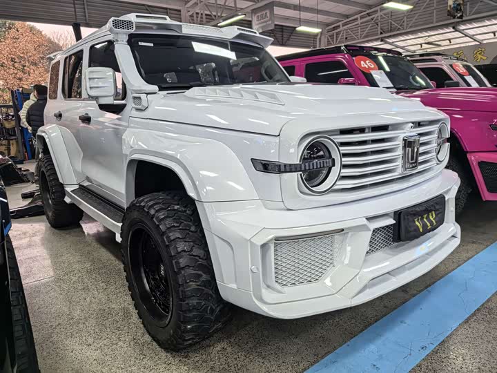 Фото 2 - Tank 300