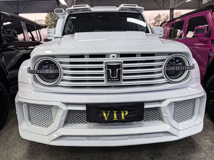 Фото 3 - Tank 300