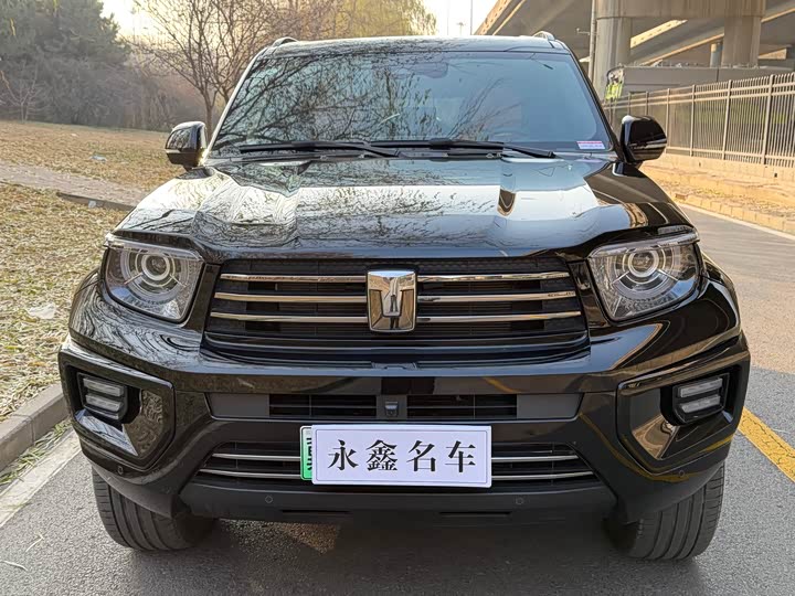 Фото 2 - Tank 700 Hybrid