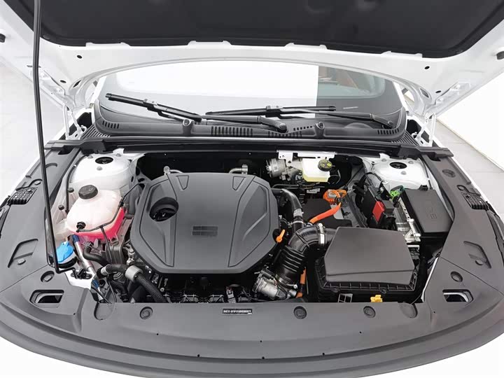 Фото 6 - Geely Galaxy L6