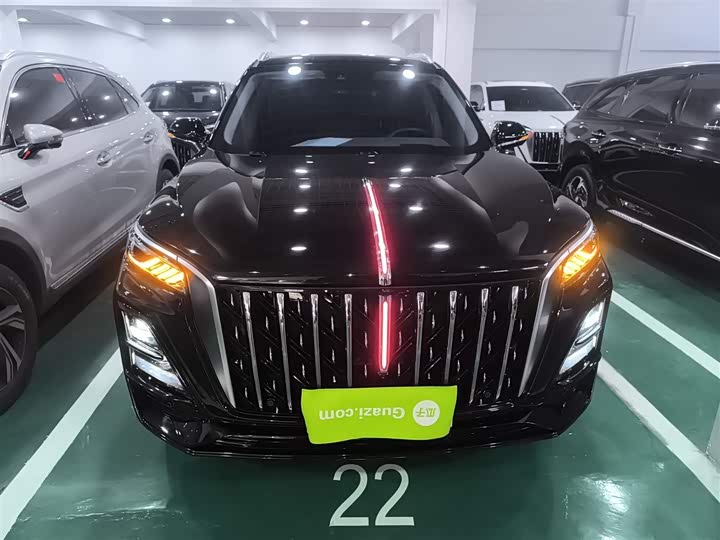 Фото 3 - Hongqi HS5