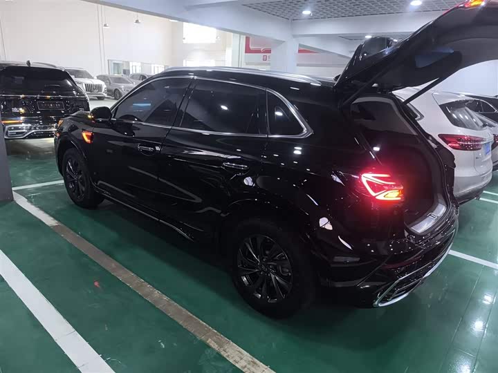 Фото 5 - Hongqi HS5