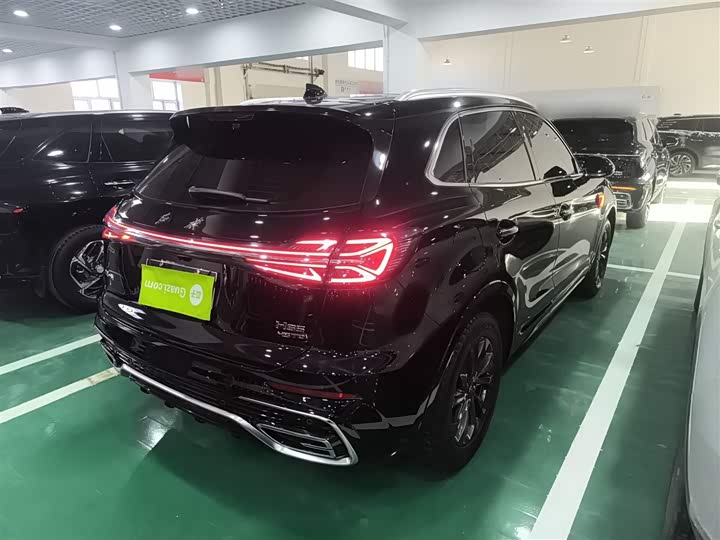 Фото 7 - Hongqi HS5