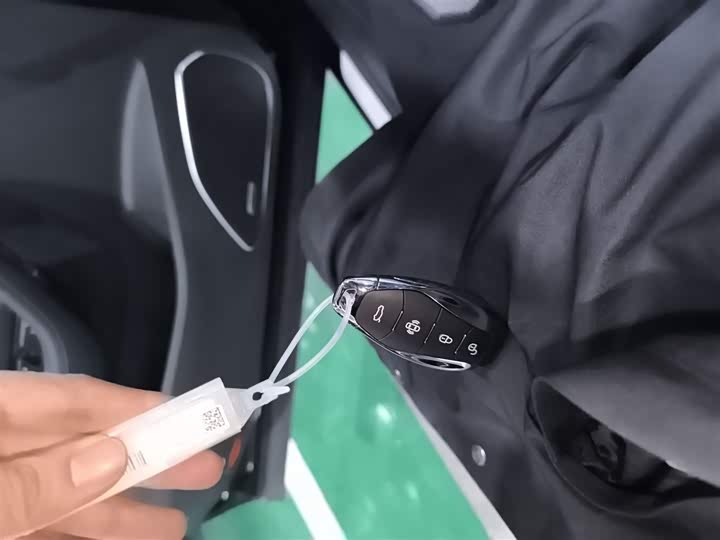 Фото 9 - Hongqi HS5