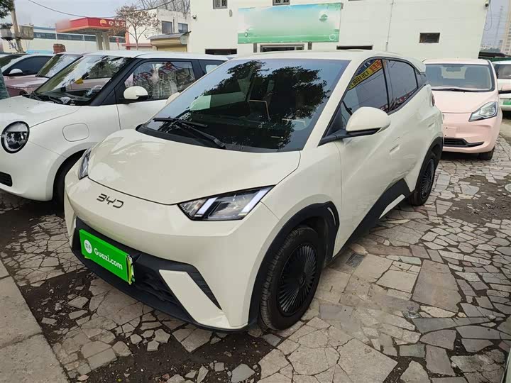 Фото 1 - BYD Seagull