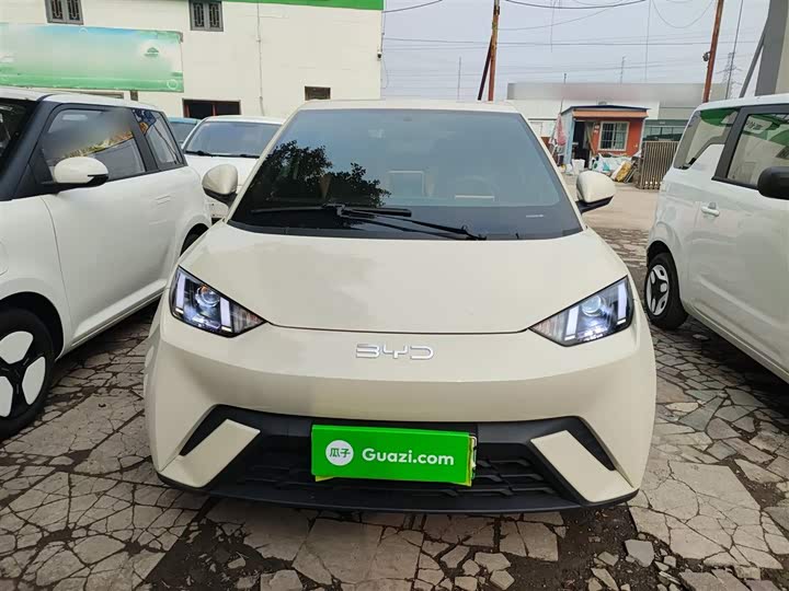 Фото 3 - BYD Seagull