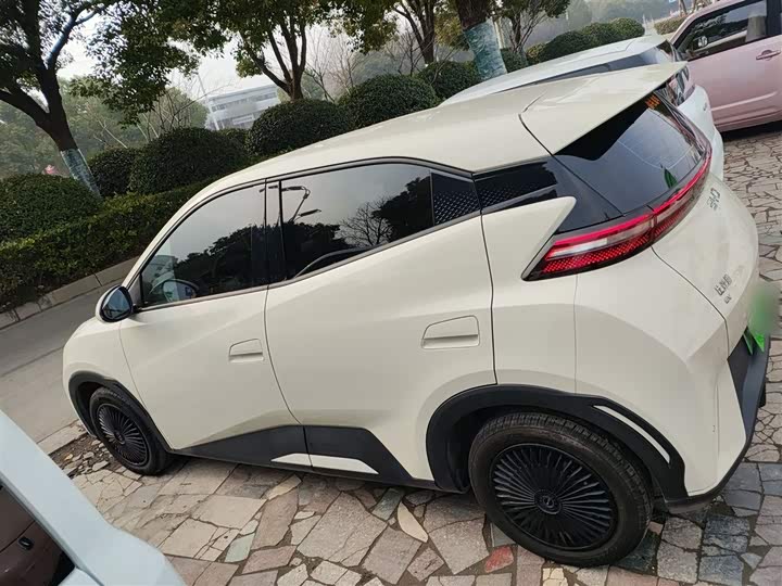 Фото 5 - BYD Seagull