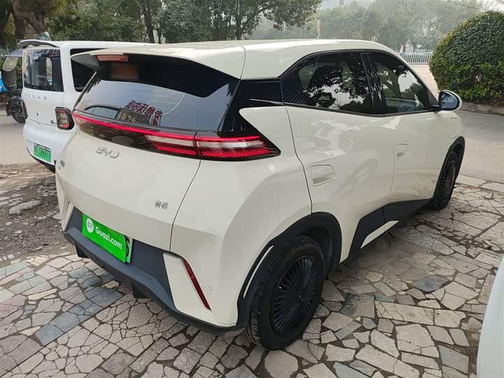 Фото 7 - BYD Seagull