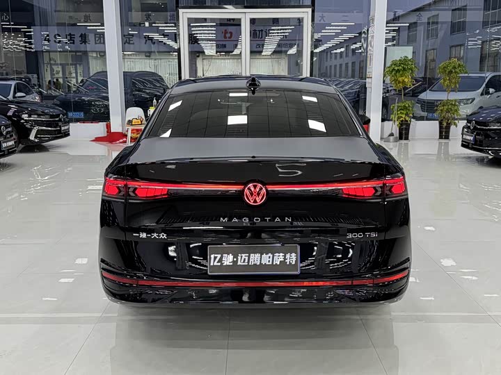 Фото 5 - Volkswagen Magotan