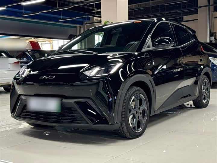 Фото 2 - BYD Seagull