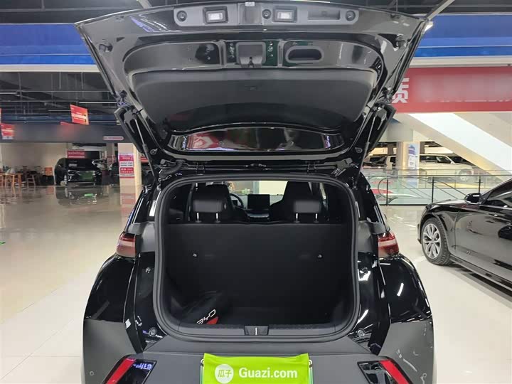 Фото 9 - BYD Seagull