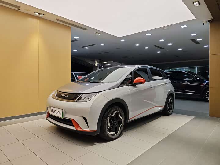 Фото 1 - BYD Dolphin