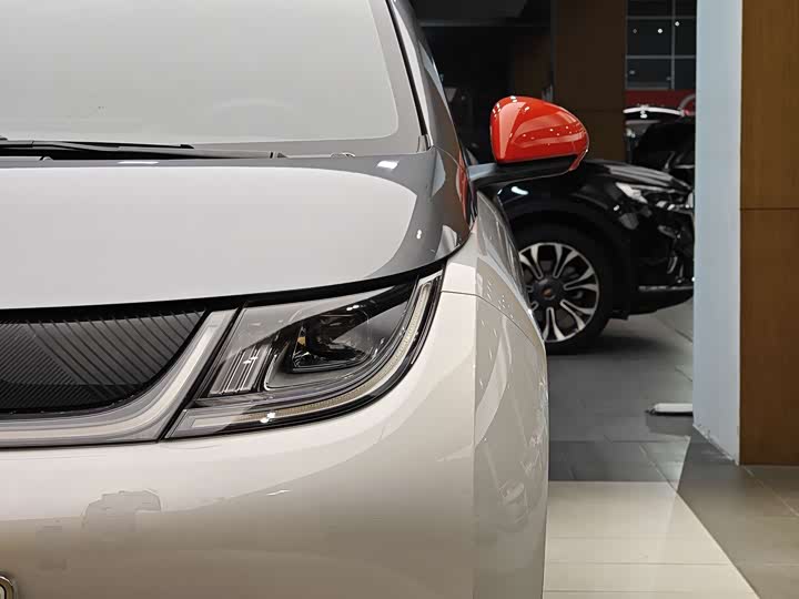 Фото 2 - BYD Dolphin