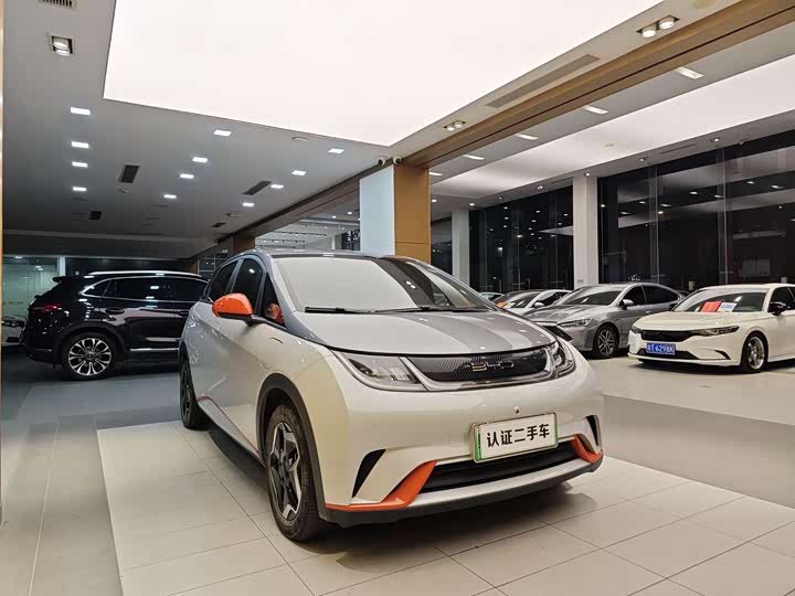 Фото 4 - BYD Dolphin