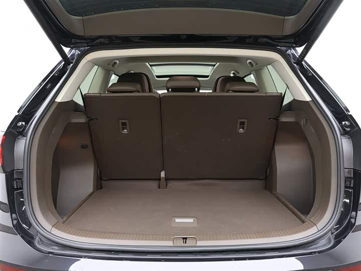 Фото 8 - Volkswagen Viloran