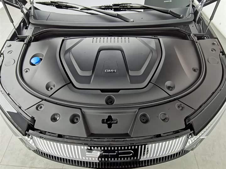 Фото 6 - BYD Frigate 07