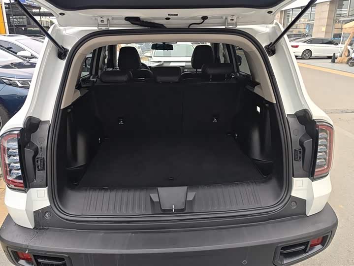 Фото 4 - Haval Dargo